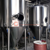 Nano Turnkey 3.5BBL Beer Brewery Equipment 2-х сосудистая система пивоваренного цеха с электрическим нагревом Конический ферментер с ямочками для продажи