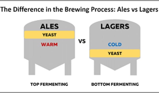 В процессе пивоварения пива, почему верхние дрожжи с ферментацией оказывают большое влияние на пивной вкус, а снизу ферментация имеет мало влияния на пивной вкус?