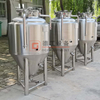 300L 500L SUS 304 Professional Micro Home Brewing System Mini Craft Beer Making Machine для продажи