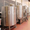3BBL 5BBL 500L Craft Microbrewery Высокое качество SUS304 AUTO Полное оборудование для пивоварения